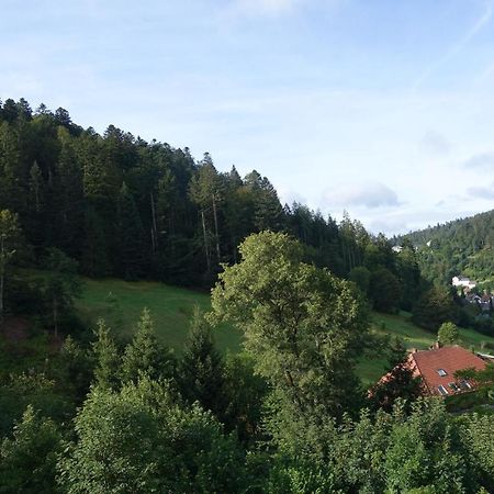 Zum Schwalbennest Appartement Todtmoos Buitenkant foto