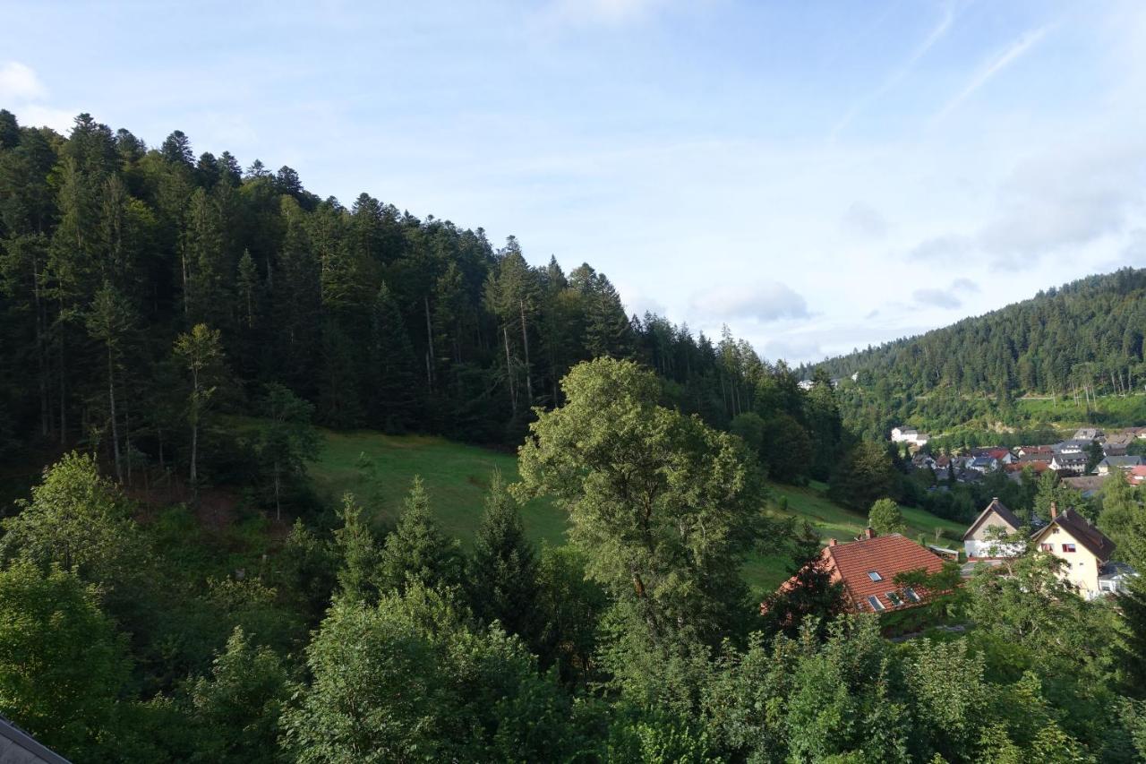 Zum Schwalbennest Appartement Todtmoos Buitenkant foto