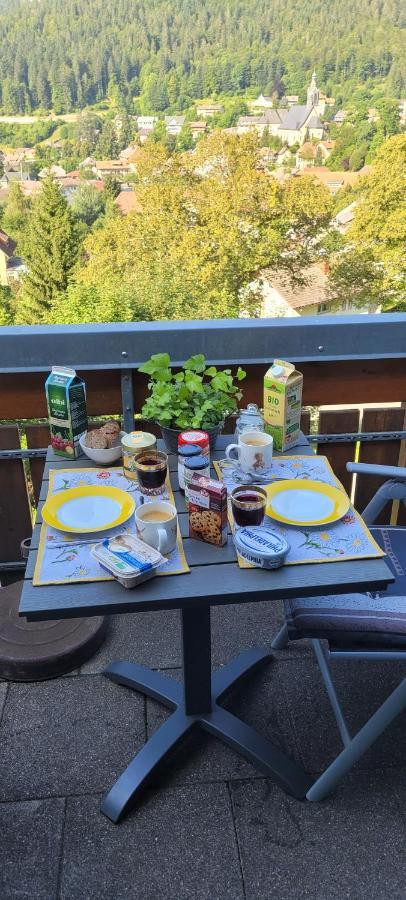 Zum Schwalbennest Appartement Todtmoos Buitenkant foto