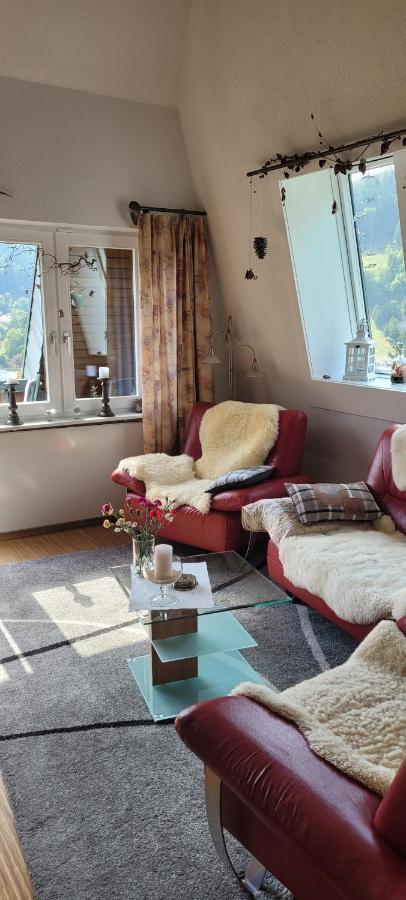 Zum Schwalbennest Appartement Todtmoos Buitenkant foto
