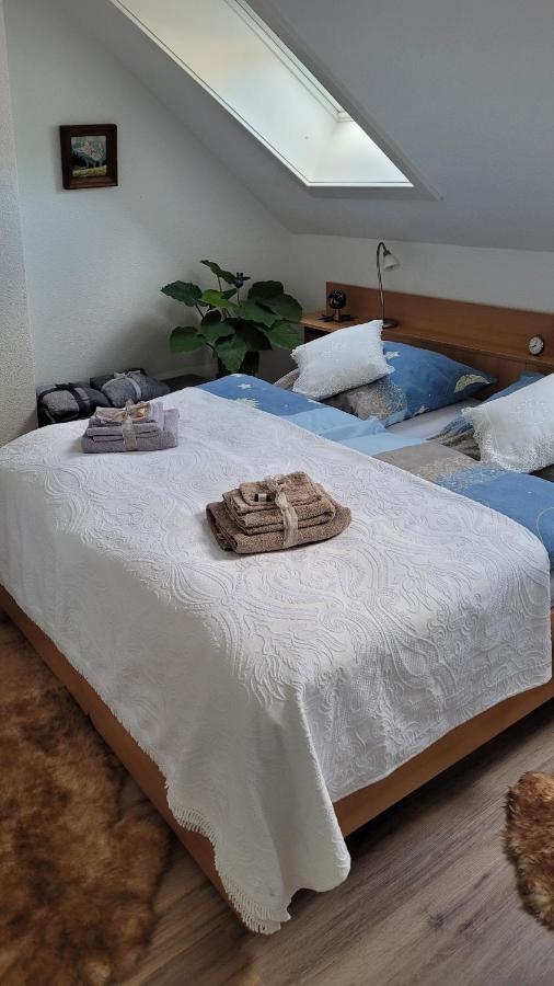 Zum Schwalbennest Appartement Todtmoos Buitenkant foto