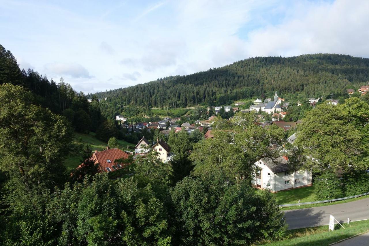 Zum Schwalbennest Appartement Todtmoos Buitenkant foto