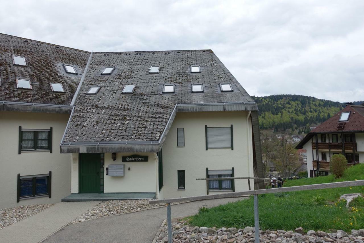 Zum Schwalbennest Appartement Todtmoos Buitenkant foto