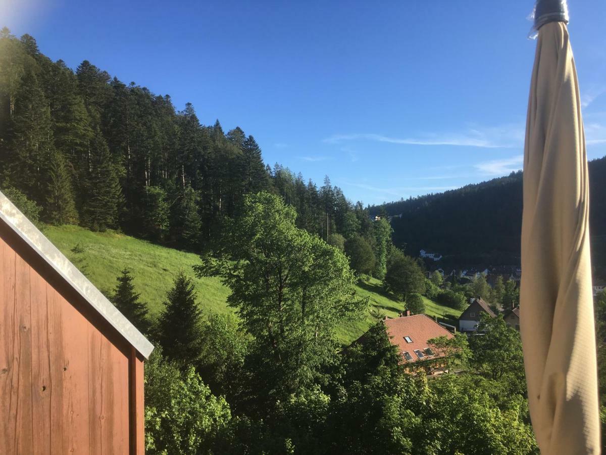 Zum Schwalbennest Appartement Todtmoos Buitenkant foto