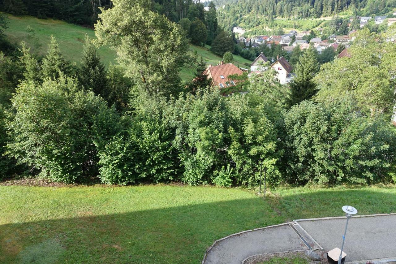 Zum Schwalbennest Appartement Todtmoos Buitenkant foto