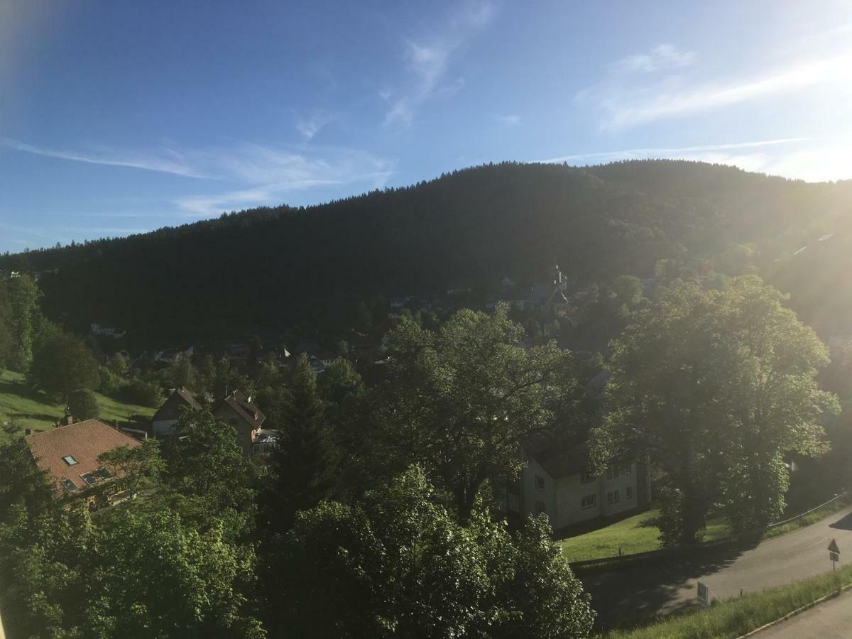 Zum Schwalbennest Appartement Todtmoos Buitenkant foto